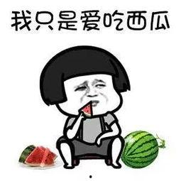 沙雕爽文吃瓜娱乐圈,吃瓜群众狂欢盛宴