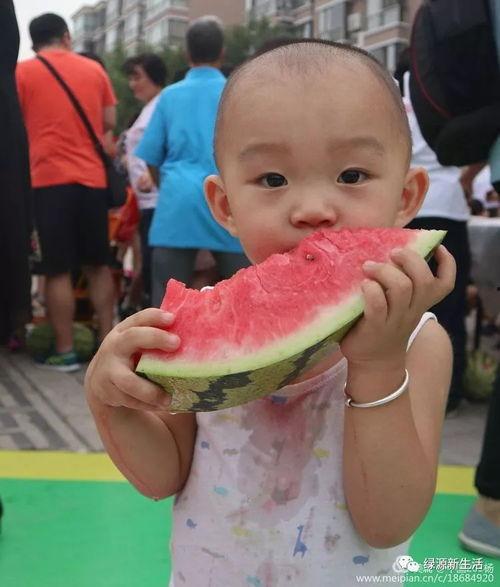 吃瓜汇总,吃瓜群众视角下的娱乐圈风云录