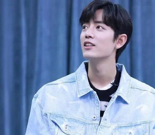 娱乐圈吃瓜元素表成毅,成毅在娱乐圈的瓜田漫步